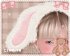 KID 🐇 Bunny Ears