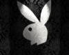 !!NEW Playboy Bunny Club