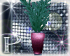 vase and plant