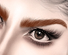 L| Shaped Brows Ginger