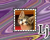 kitten stamp 20