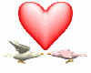 valentine heart birds