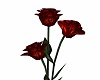 ☺S☺ Animated /Rose