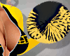 Go ! |PomPoms
