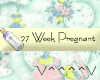 27 Weeks Pregnant (y)