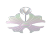 Chrome Fan| V3