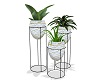 Emerald Plant Stand Set