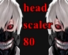 head scaler 80