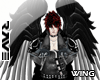 [AKZ]:Armor Wings
