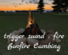 *Bonfire Cambing