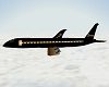 Luxary Airplane