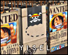 Y. One Piece Bags REQ