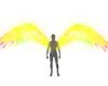 CyberWingsNeon Yellow