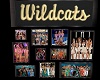 WildCats Group Photos