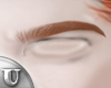 Redhead Eyebrow MH☼