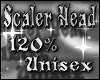 5C SCALER HEAD 120%