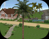 Animated Palm Tree V2