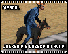Jockey My Doberman Avi M
