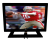 49ers Big Screen TV 3