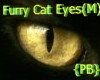 {PB}Furry Cat Eyes (M)