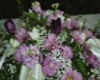 Purple Bouquet
