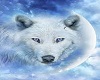 snowwolf rock pillow