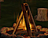 Fall Fun Campfire w BBQ