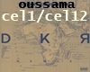Oussama-Célibataire