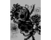 Skull And Rose