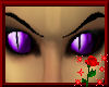 *Dragon Eyes Purple M