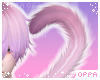 ♡ kitty | tail