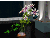 flower plant