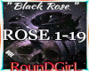 *R Black Rose + G