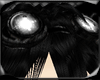 *D Revolution Black