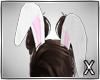 ||X|| Bunny Ears - Pink