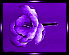 💕PF  Purple Petal0s