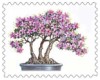 azalea bonsai stamp