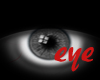 TBV| Eye Grey M