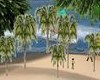 Tropical Palm Grove