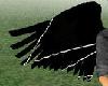 black starred wings