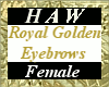 Royal Golden Eyebrows F