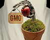 (Org) Anti- GMO T