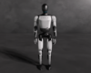 TESLA BOT