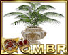 QMBR Plant Baroque Palm