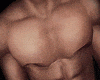 sexy chest fix no glitch