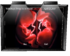Rayn And Sed Sonogram