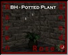 RVN - BH POTTED PLANT