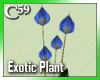 [C59] Exotic Blue 2