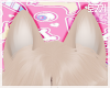 T|Fox Ears Blonde2