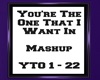 Youre The One That IWant